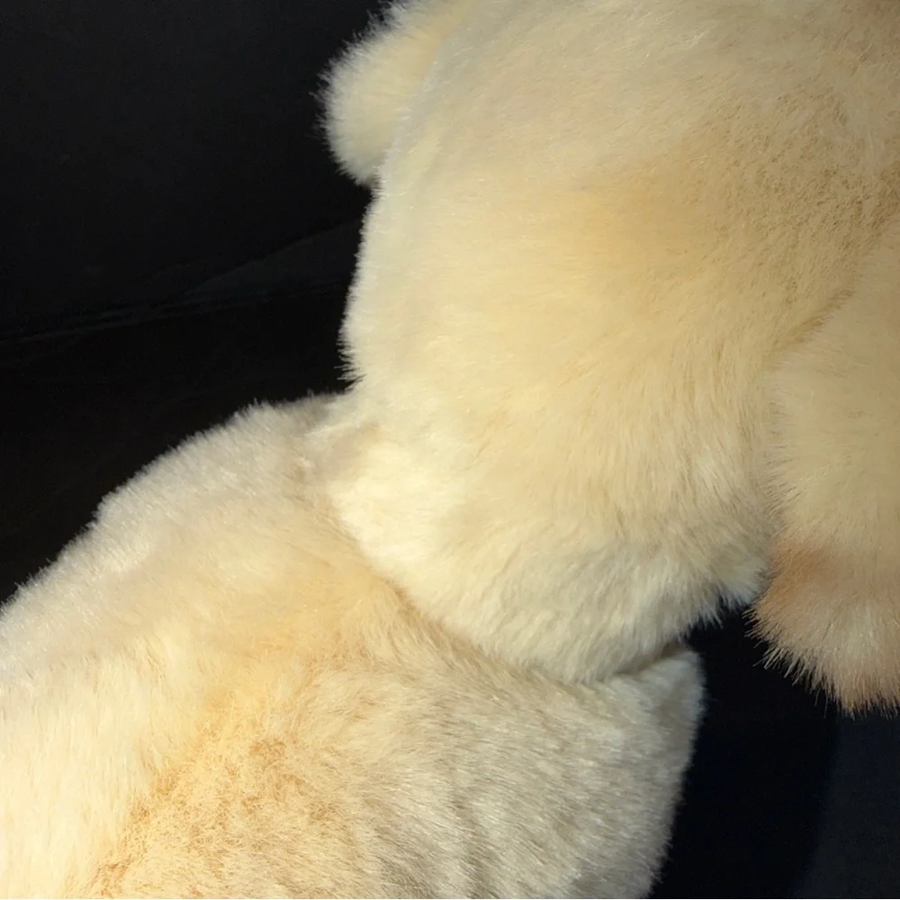 Douglas yellow lab